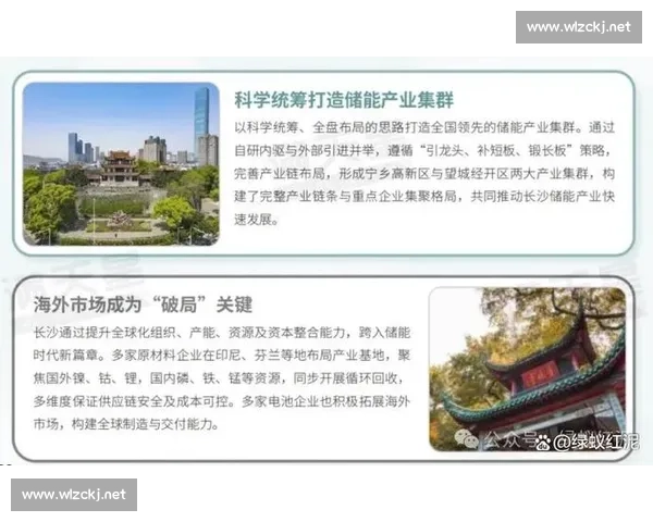 以效益提升为核心推动资源优化配置实现高质量发展新路径